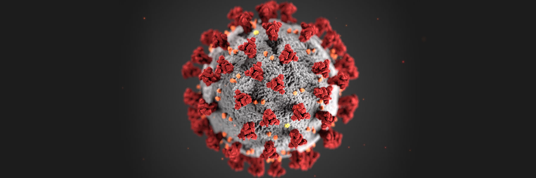 round image with red dots depicting coronavirus image