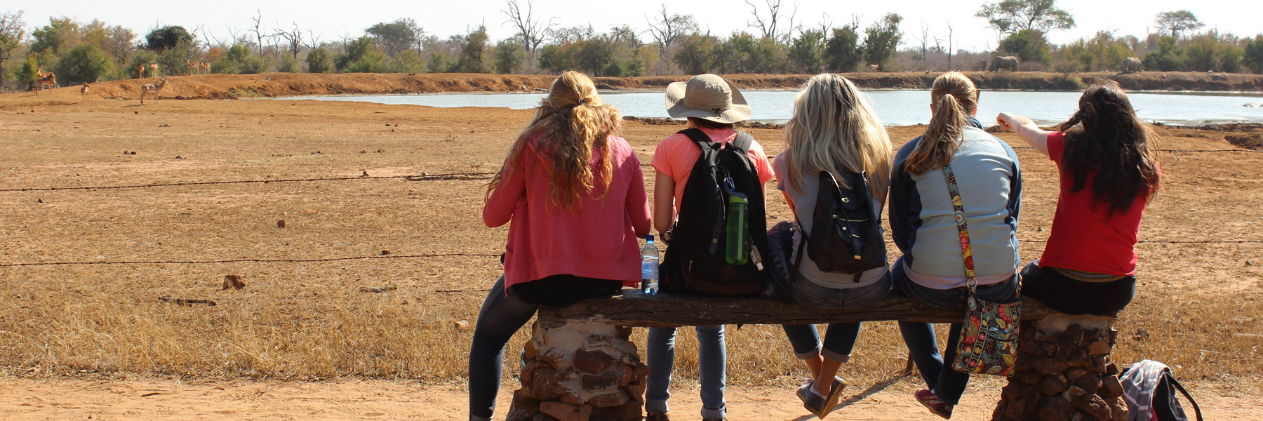 students sitting on bench looking at wildlife